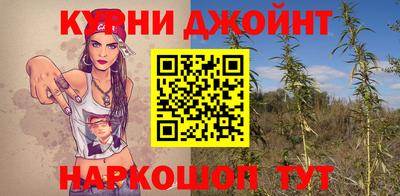 гидра Беслан
