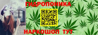 гидра Беслан