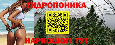 каннабис Бийск