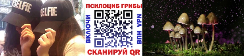 маркетплейс клад  Заводоуковск  Псилоцибиновые грибы Magic Shrooms  купить закладку  мега рабочий сайт 