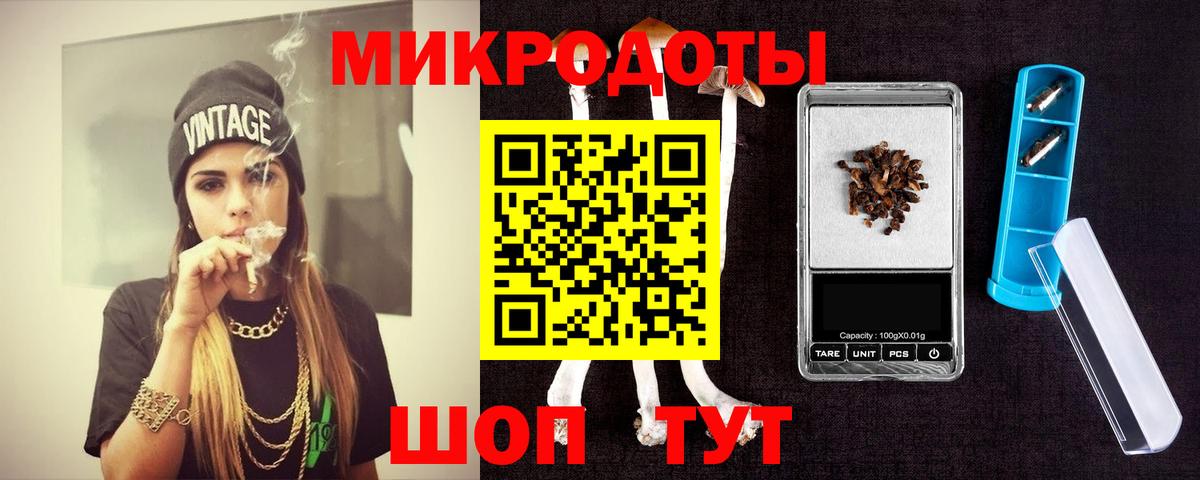 Галлюциногенные грибы Psilocybine cubensis  Псилоцибиновые грибы мицелий  магазин    Заводоуковск 