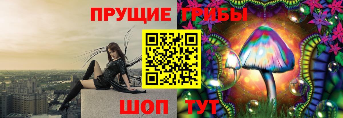 Псилоцибиновые грибы Psilocybe Заводоуковск